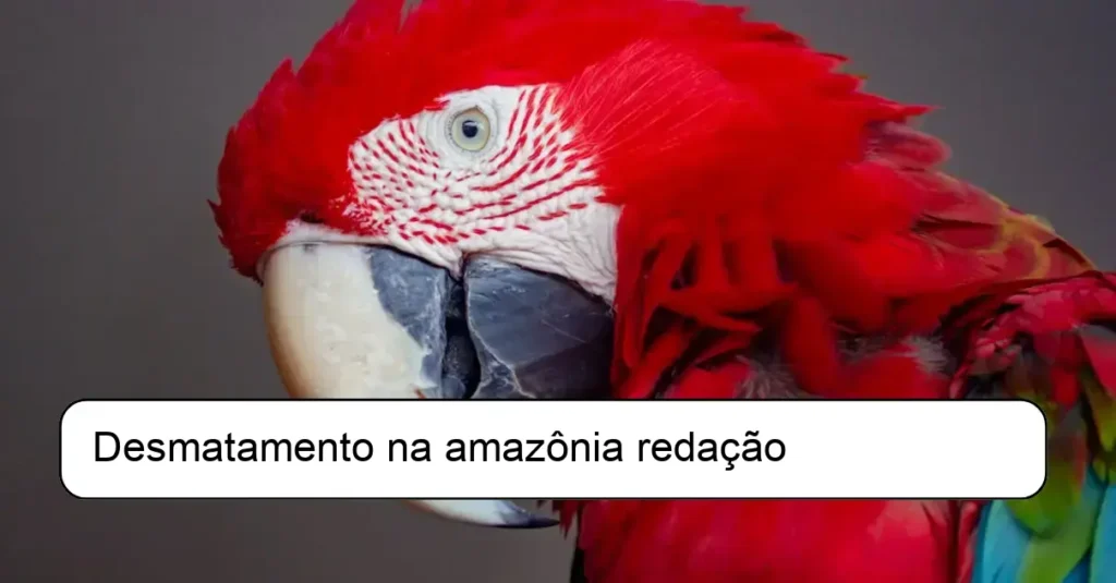 Desmatamento na amazônia redação